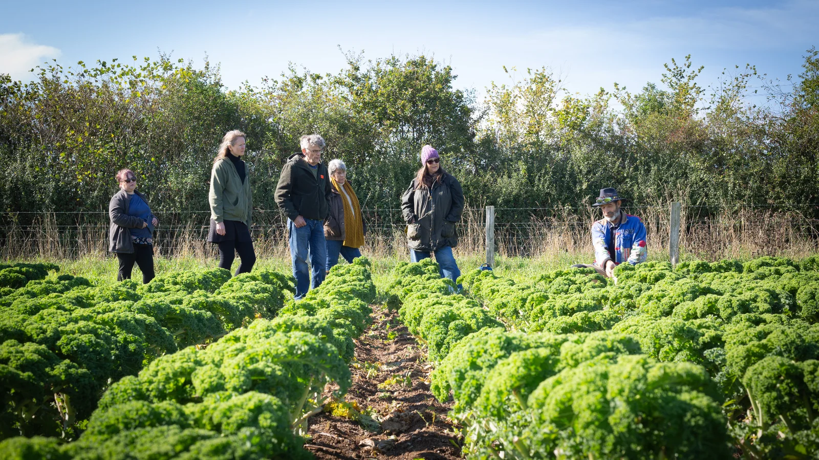 Greenlife’s Fruit & Veg Team Visit Riverford Farm